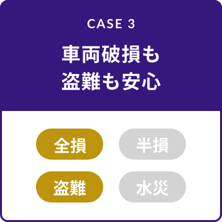 CASE3 車両破損も盗難も安心